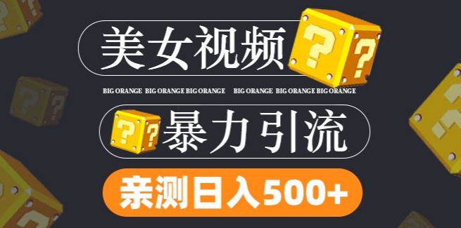 搬运tk美女视频全网分发，日引s粉300+，轻松变现，不限流量不封号【揭秘】-氚客吧