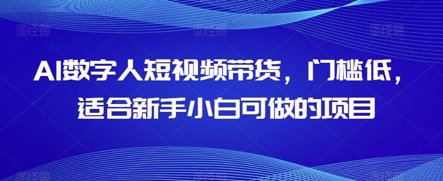 AI数字人短视频带货，门槛低，适合新手小白可做的项目-氚客吧