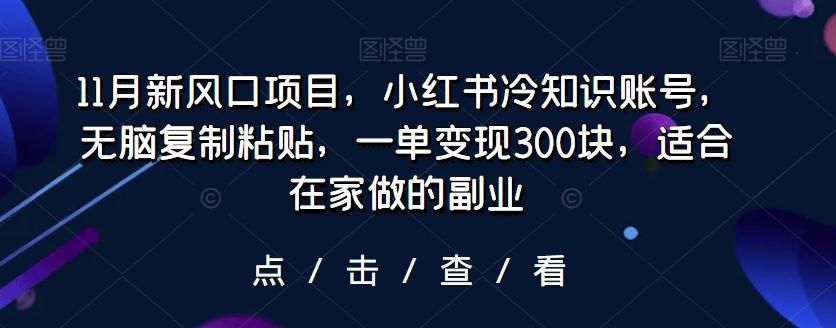 11月新风口项目，小红书冷知识账号，无脑复制粘贴，一单变现300块，适合在家做的副业-氚客吧