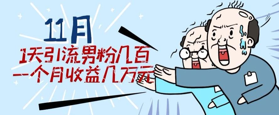 11月最新每天引流男粉300+一个月收益几万元-氚客吧