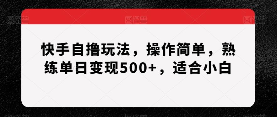 快手自撸玩法，操作简单，熟练单日变现500+，适合小白【揭秘】-氚客吧