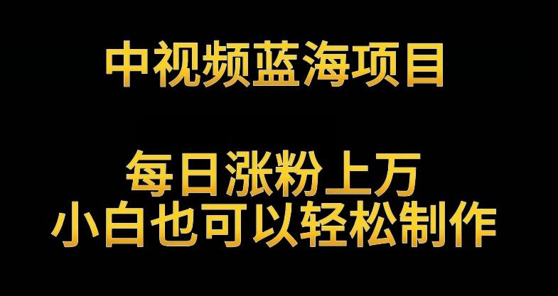 中视频蓝海项目，解读英雄人物生平，每日涨粉上万，小白也可以轻松制作，月入过万不是梦【揭秘】-氚客吧
