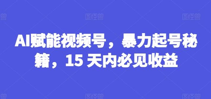 AI赋能视频号，暴力起号秘籍，15 天内必见收益【揭秘】-氚客吧
