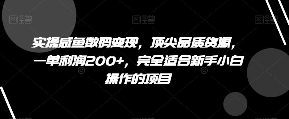 实操咸鱼数码变现，顶尖品质货源，一单利润200+，完全适合新手小白操作的项目【揭秘】-氚客吧