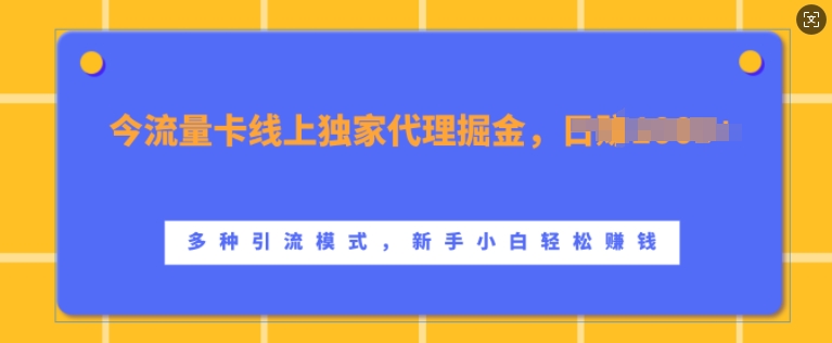 流量卡线上独家代理掘金，日入1k+ ，多种引流模式，新手小白轻松上手【揭秘】-氚客吧