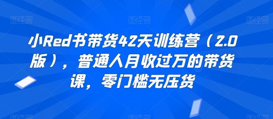 小Red书带货42天训练营(2.0版)，普通人月收过万的带货课，零门槛无压货-氚客吧