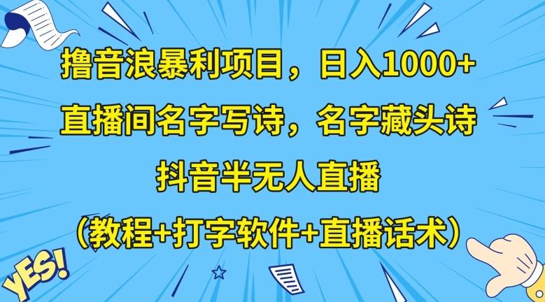 撸音浪暴利项目，日入1000+，直播间名字写诗，名字藏头诗，抖音半无人直播（教程+打字软件+直播话术）【揭秘】-氚客吧