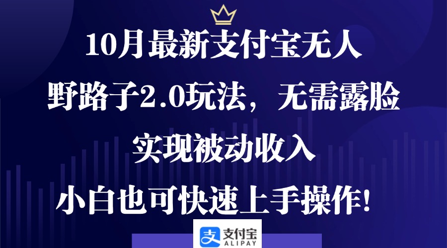 10月最新支付宝无人野路子2.0玩法，无需露脸，实现被动收入，小白也可…-氚客吧
