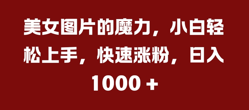 美女图片的魔力，小白轻松上手，快速涨粉，日入几张【揭秘】-氚客吧