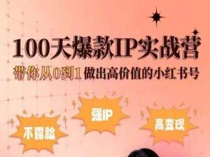 小红书100天爆款IP实战营，带你从0到1做出高价值的小红书号-氚客吧