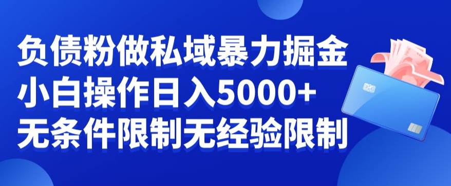 负债粉私域暴力掘金，小白操作入5000，无经验限制，无条件限制【揭秘】-氚客吧