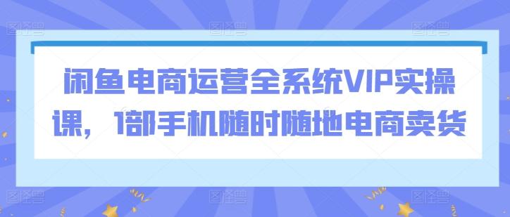 闲鱼电商运营全系统VIP实操课，1部手机随时随地电商卖货-氚客吧