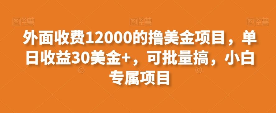 外面收费12000的撸美金项目，单日收益30美金+，可批量搞，小白专属项目-氚客吧