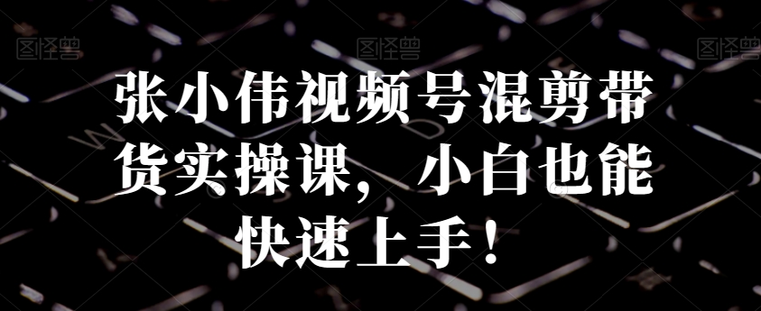 张小伟视频号混剪带货实操课，小白也能快速上手！-氚客吧