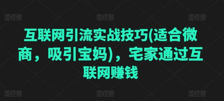互联网引流实战技巧(适合微商，吸引宝妈)，宅家通过互联网赚钱-氚客吧