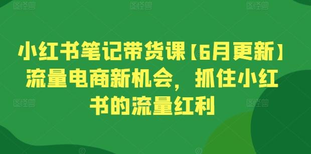 小红书笔记带货课【6月更新】流量电商新机会，抓住小红书的流量红利-氚客吧