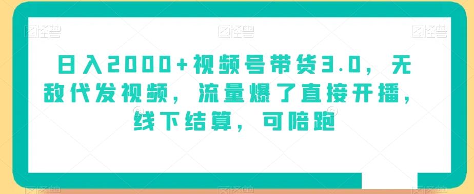 日入2000+视频号带货3.0，无敌代发视频，流量爆了直接开播，线下结算，可陪跑-氚客吧