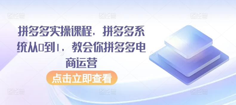 拼多多实操课程，拼多多系统从0到1，教会你拼多多电商运营-氚客吧