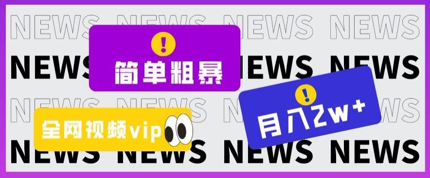 简单粗暴零成本，高回报，全网视频VIP掘金项目，月入2万＋【揭秘】-氚客吧