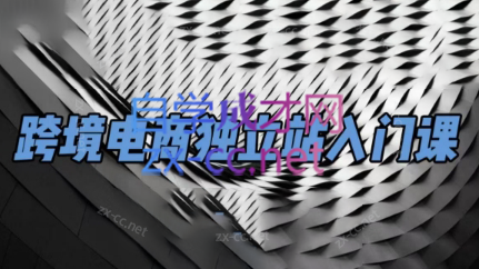 团长·跨境电商独立站入门课(2小时精华)-氚客吧