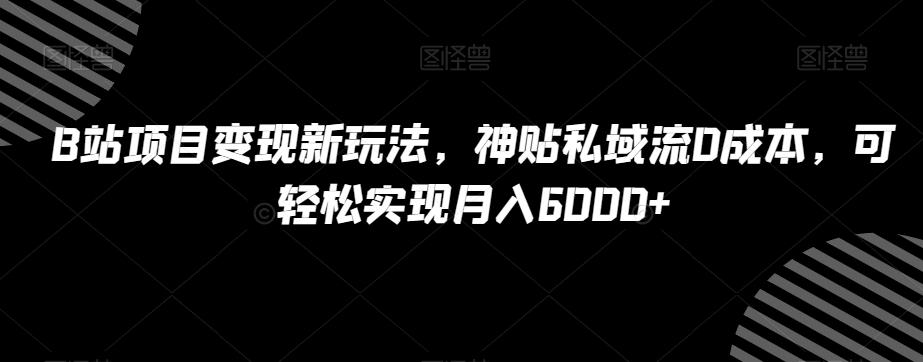 B站项目变现新玩法，神贴私域流0成本，可轻松实现月入6000+【揭秘】-氚客吧