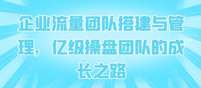 企业流量团队搭建与管理，亿级操盘团队的成长之路-氚客吧