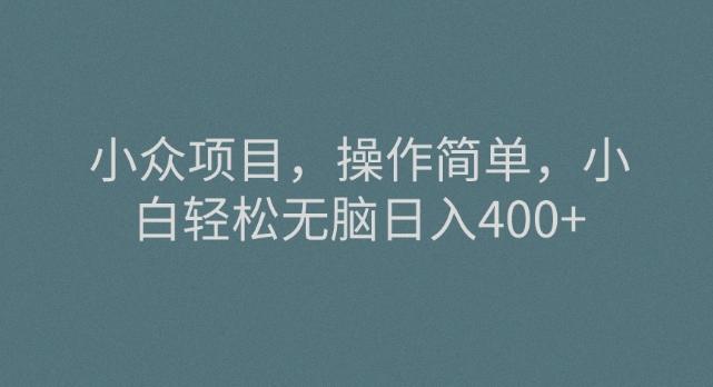 小众项目，操作简单，小白轻松无脑日入400+-氚客吧