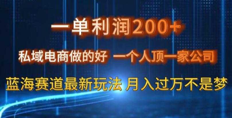 一单利润200私域电商做的好，一个人顶一家公司蓝海赛道最新玩法【揭秘】-氚客吧