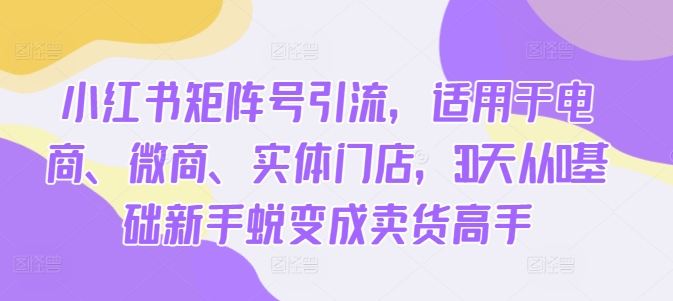 小红书矩阵号引流，适用于电商、微商、实体门店，30天从0基础新手蜕变成卖货高手-氚客吧