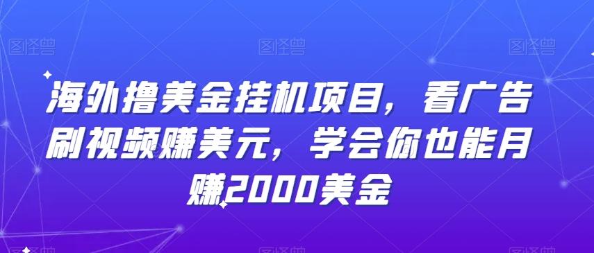 海外撸美金挂机项目，看广告刷视频赚美元，学会你也能月赚2000美金-氚客吧