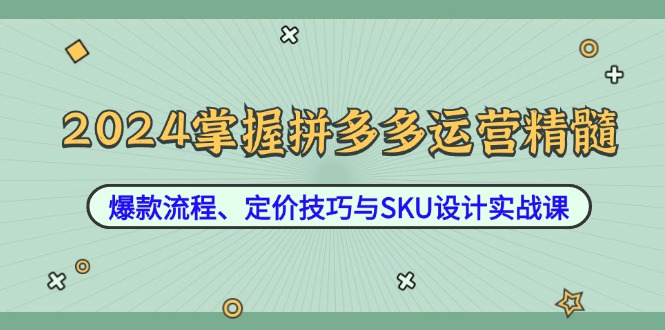 2024掌握拼多多运营精髓：爆款流程、定价技巧与SKU设计实战课-氚客吧