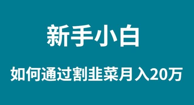 (9308期)新手小白如何通过割韭菜月入 20W-氚客吧
