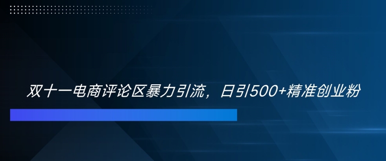 双十一电商评论区暴力引流，日引500+精准创业粉【揭秘】-氚客吧