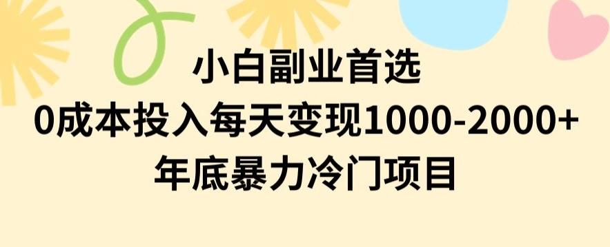小白副业首选，0成本投入，每天变现1000-2000年底暴力冷门项目【揭秘】-氚客吧