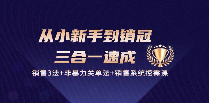 从小新手到销冠 三合一速成：销售3法+非暴力关单法+销售系统挖需课 (27节-氚客吧
