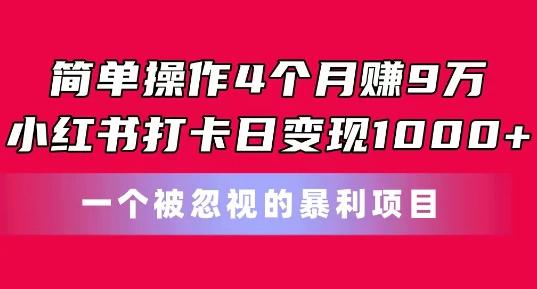 简单操作4个月赚9w，小红书打卡日变现1k，一个被忽视的暴力项目【揭秘】-氚客吧