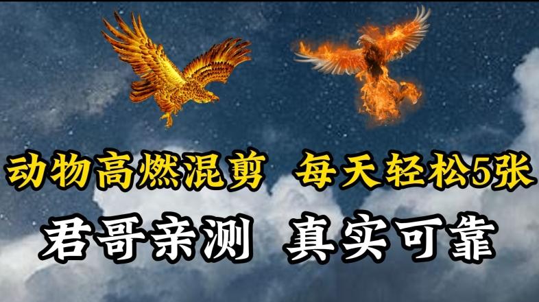 动物超燃混剪，每天轻松5张，剪辑简单大家爱看【揭秘】-氚客吧