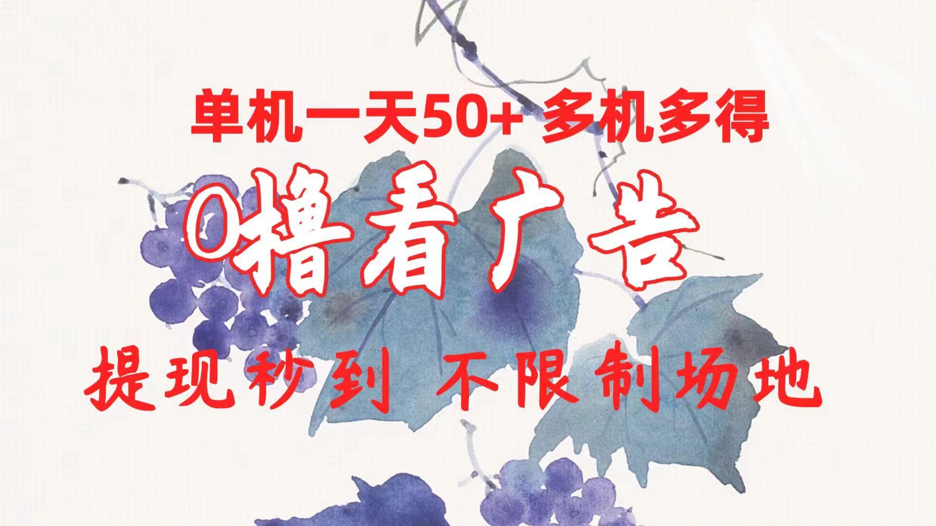 0撸看广告 单机一天50+多机多得 提现秒到 不限制场地操作-氚客吧