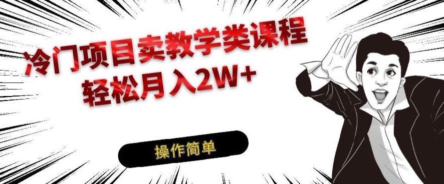 冷门项目卖教学类课程，轻松月入2W+-氚客吧