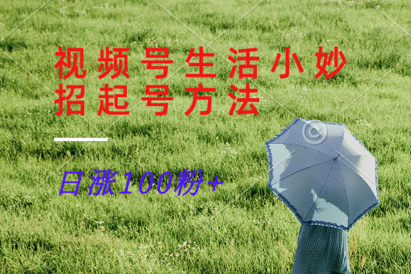视频号生活小妙招分享赛道， 起号涨粉新方法，日涨100粉-氚客吧