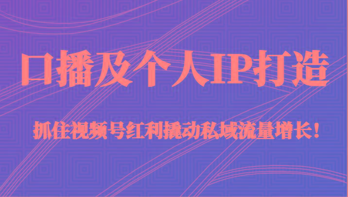 口播及个人IP打造，抓住视频号红利撬动私域流量增长！（45节课）-氚客吧