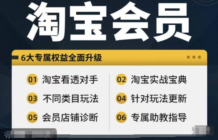 淘宝会员【淘宝所有课程，全面分析对手】，初级到高手全系实战宝典-氚客吧