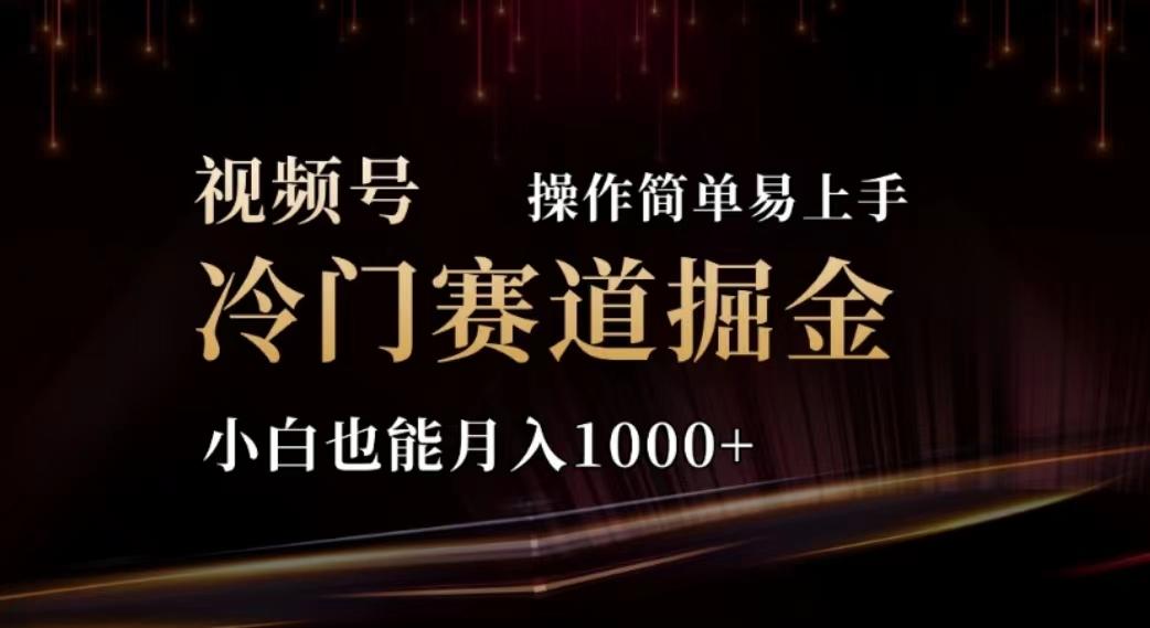 2024视频号冷门赛道掘金，操作简单轻松上手，小白也能月入1000+-氚客吧