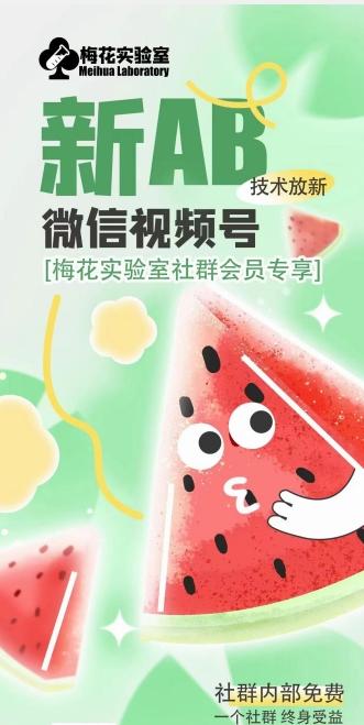梅花实验室2024年AB技术视频号AB合成破解版-氚客吧