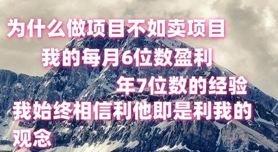 做项目不如卖项目，每月6位数盈利，年7位数经验-氚客吧