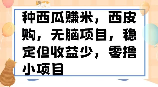 种西瓜赚米，西皮购稳定长久零撸小项目-氚客吧