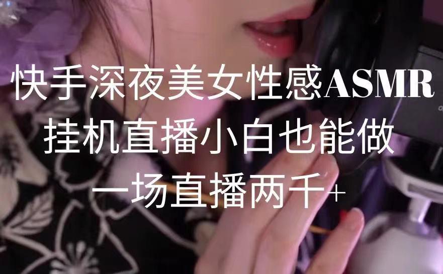 快手深夜美女性感ASMR挂机直播，小白也能做，一场直播两千+-氚客吧