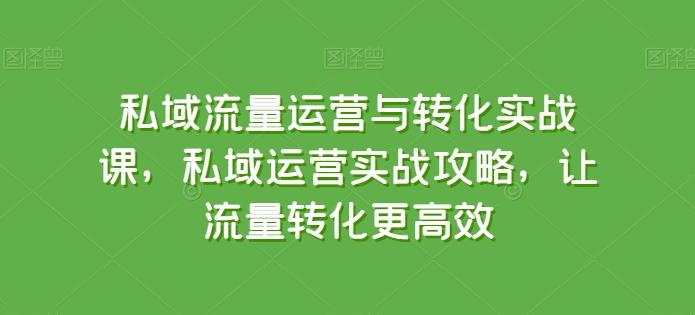 私域流量运营与转化实战课，私域运营实战攻略，让流量转化更高效-氚客吧