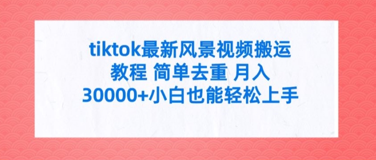 tiktok最新风景视频搬运教程 简单去重 月入3W+小白也能轻松上手【揭秘】-氚客吧