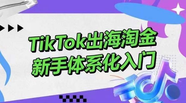 TikTok出海淘金，新手体系化入门，零基础快速入门，掌握短视频、直播带货等引流到变现的知识-氚客吧